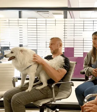 In a meeting with the office dog standing across my lap.